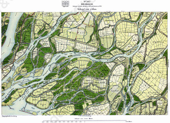 Biesbosch 565